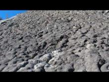 Vidéo de la Dalle à Ammonites