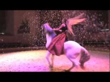 Musée vivant du cheval de Chantilly en vidéo