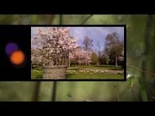 Parc floral de la Source en vidéo