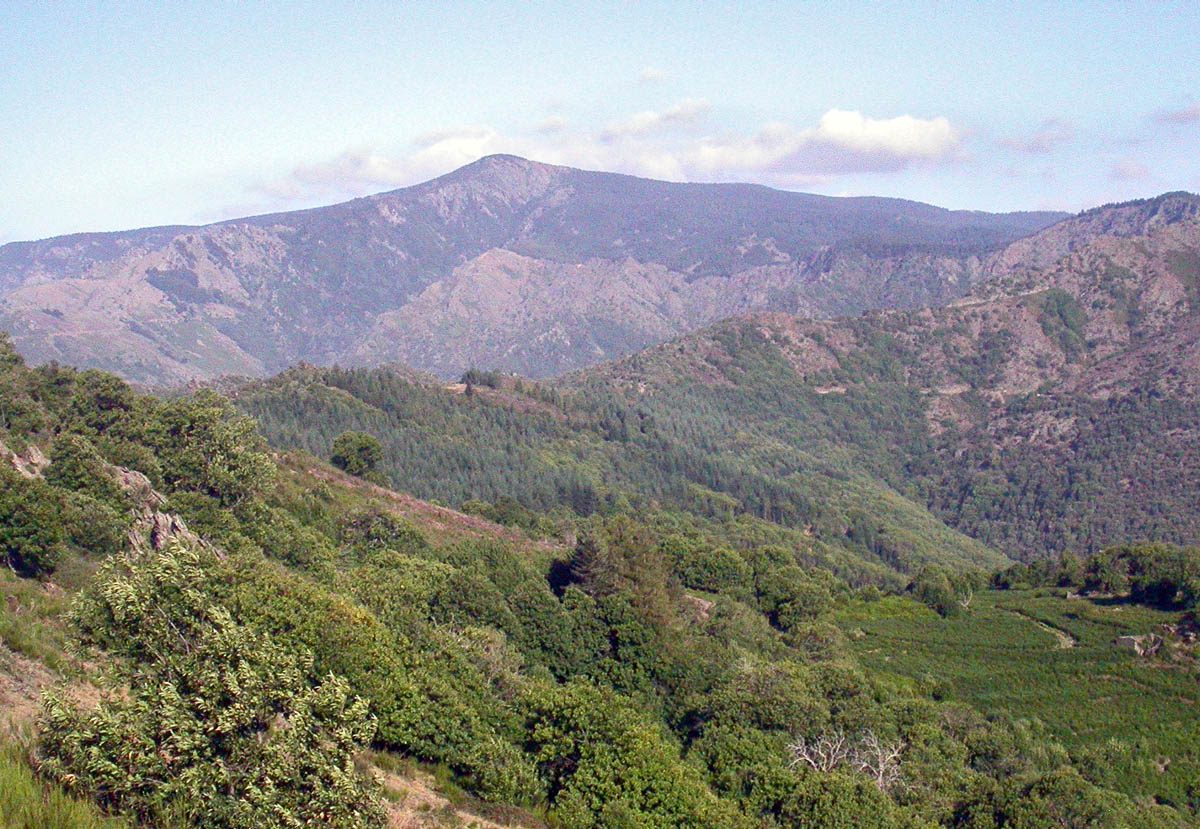 Observatoire du Mont-Aigoual