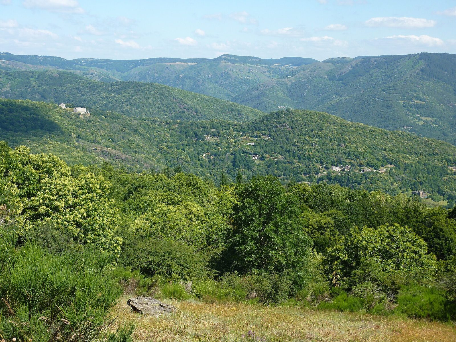 Parc National des Cévennes