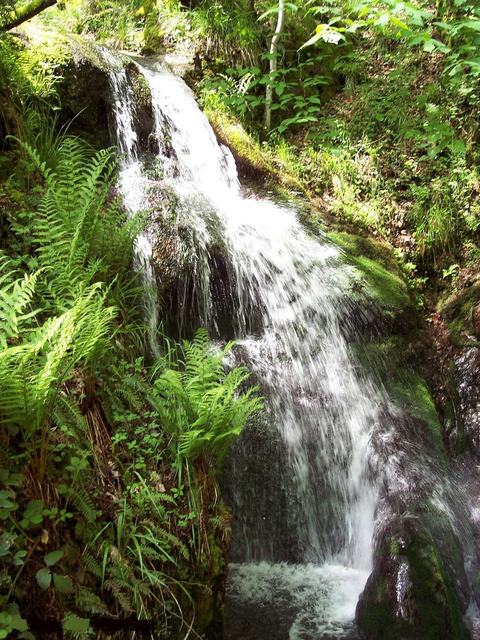 Cascade de l'Erzenbach