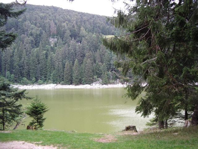 Lac vert