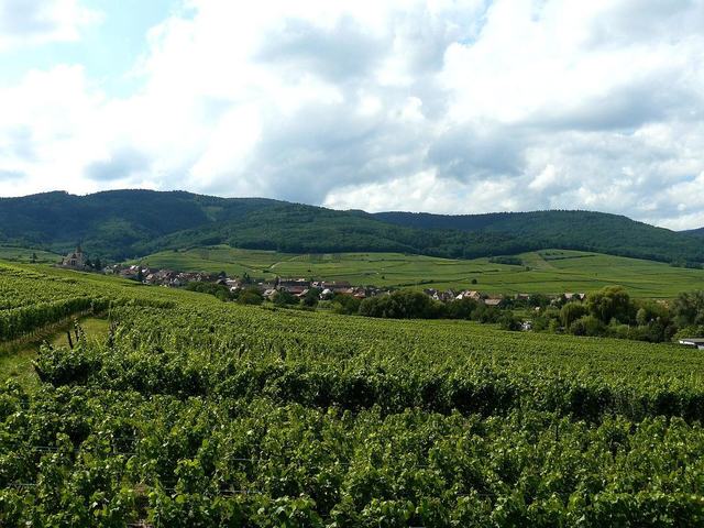 Parc des Cigognes et des Loutres