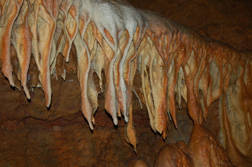 La Grotte du Bosc
