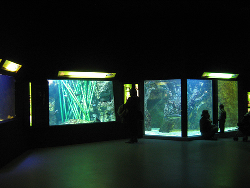 L'Aquarium du Grand Lyon By Aurelie Chaumat via Wikimedia Commons
