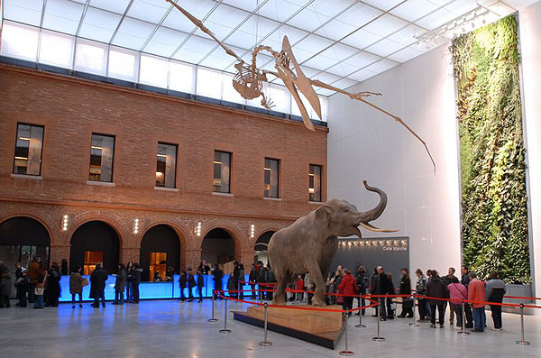 Museum d'Histoire Naturelle de Toulouse Par Samuelbausson CC BY-SA 3.0 via Wikimedia Commons