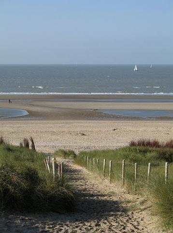 Dunes de Flandres By Marc Ryckaert (MJJR) (Own work) CC BY 3.0 via Wikimedia Commons