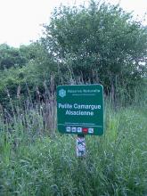 La Petite Camargue Alsacienne By Rauenstein CC BY-SA 3.0 via Wikimedia Commons