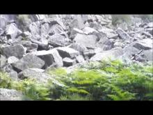 Vidéo de la Fosse-Arthour ( Basse Normandie )