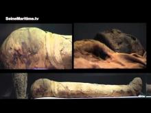 Musée Départemental des antiquités en vidéo